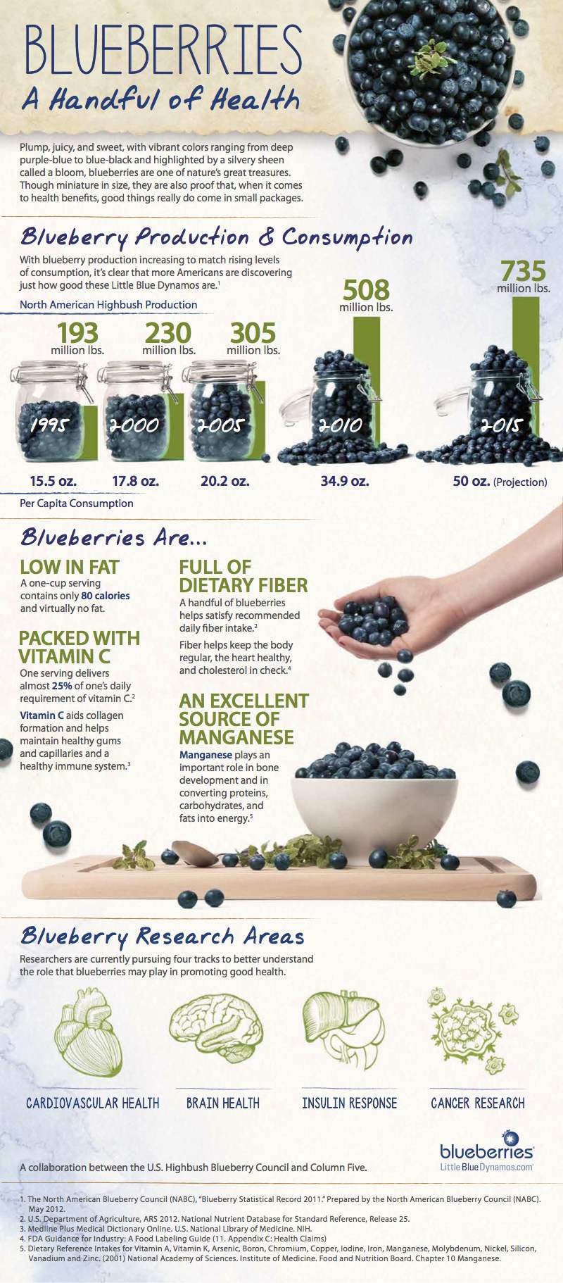 Blueberry_Infographic