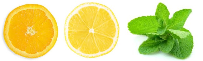Citrus_Mint_Infused_Water