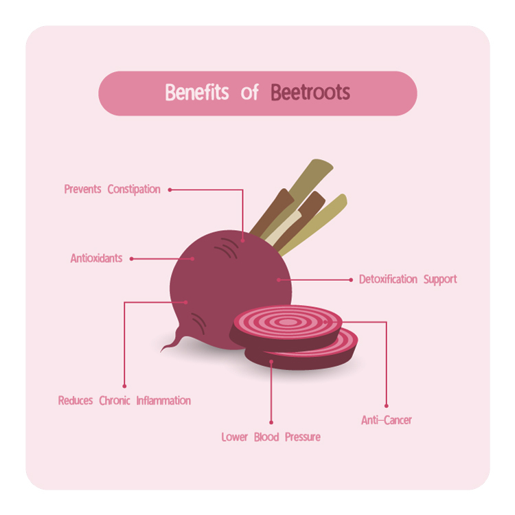 Инфографика свекла. Beetroot схемы вкусов. По английски строение beetroot. Beetroot thinking about you. Beetroot перевод