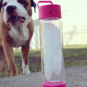 Stay Hydrated - Dog with Glasstic Ice Water