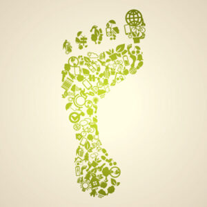 Ecological Footprint - footprint